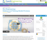 Bio-Engineering: Making and Testing Model Proteins
