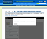 ATP Reaction (Thermochemistry and Bonding)