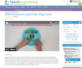 DNA Forensics and Color Pigments